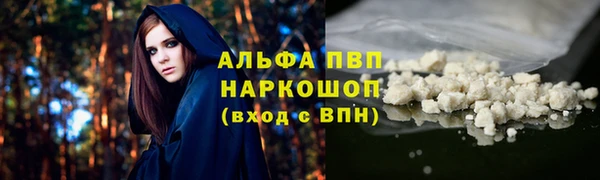 винт Богданович